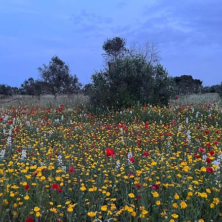 Agriturismo Villa Coluccia Martano Kültér fotó