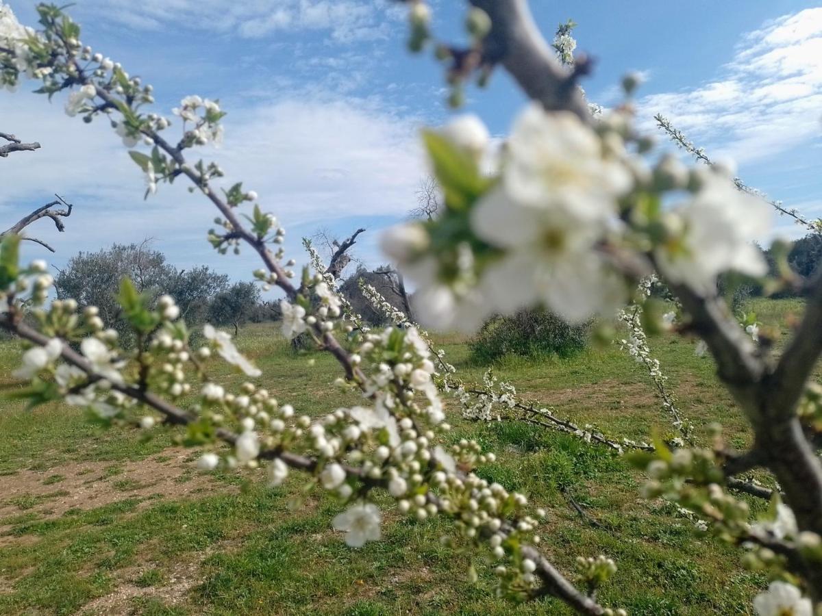 Agriturismo Villa Coluccia Martano Kültér fotó