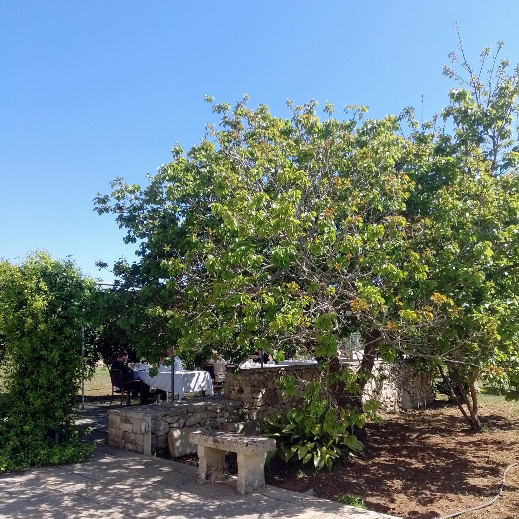Agriturismo Villa Coluccia Martano Kültér fotó