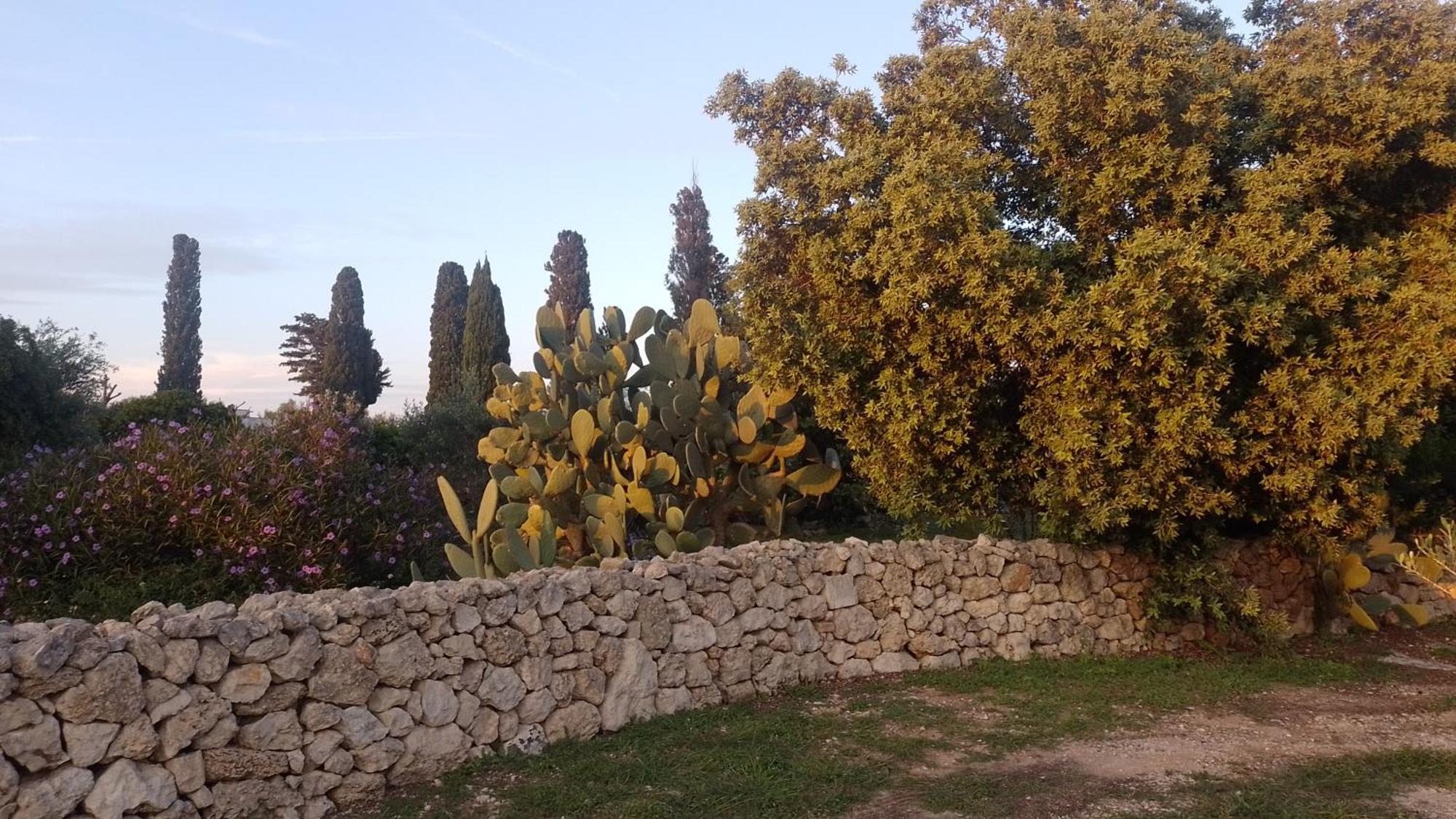 Agriturismo Villa Coluccia Martano Kültér fotó