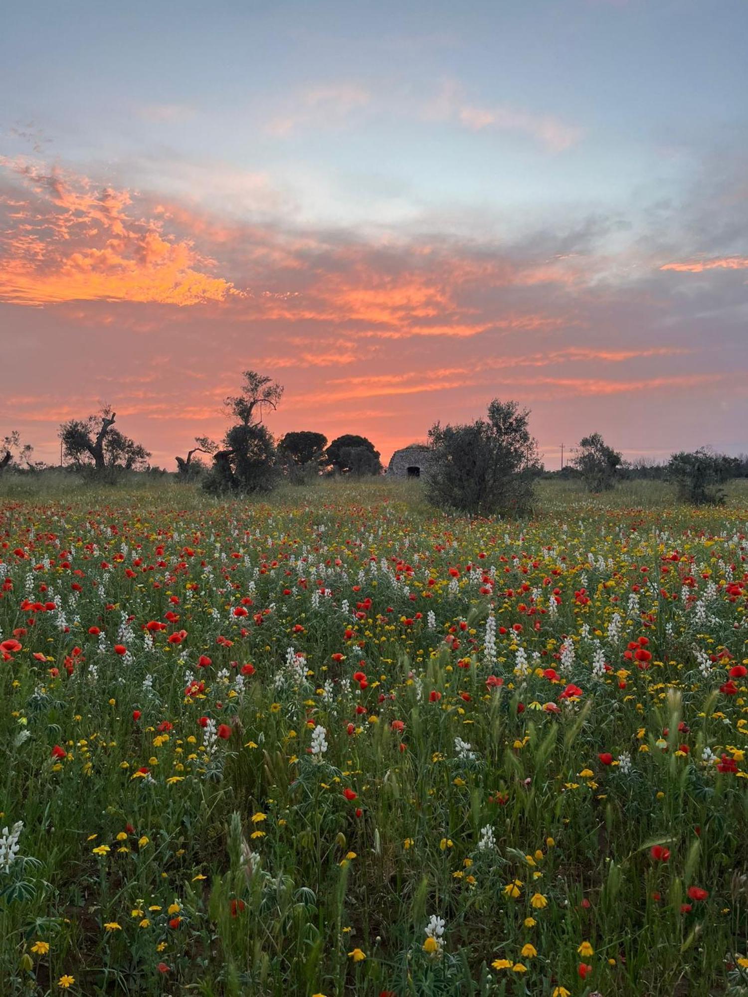Agriturismo Villa Coluccia Martano Kültér fotó
